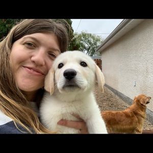 Meet your Posher, Carissa